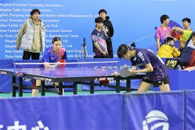 啥操作？！还有6个月踢世界杯 突尼斯足协把所有人炒了