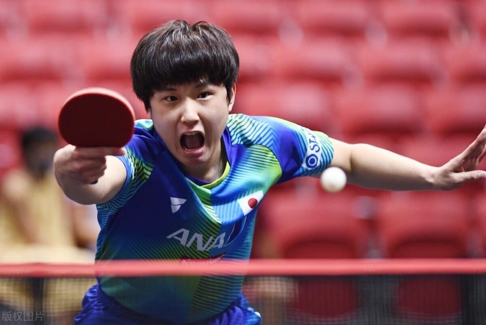 住灰熊的反 住灰熊的反